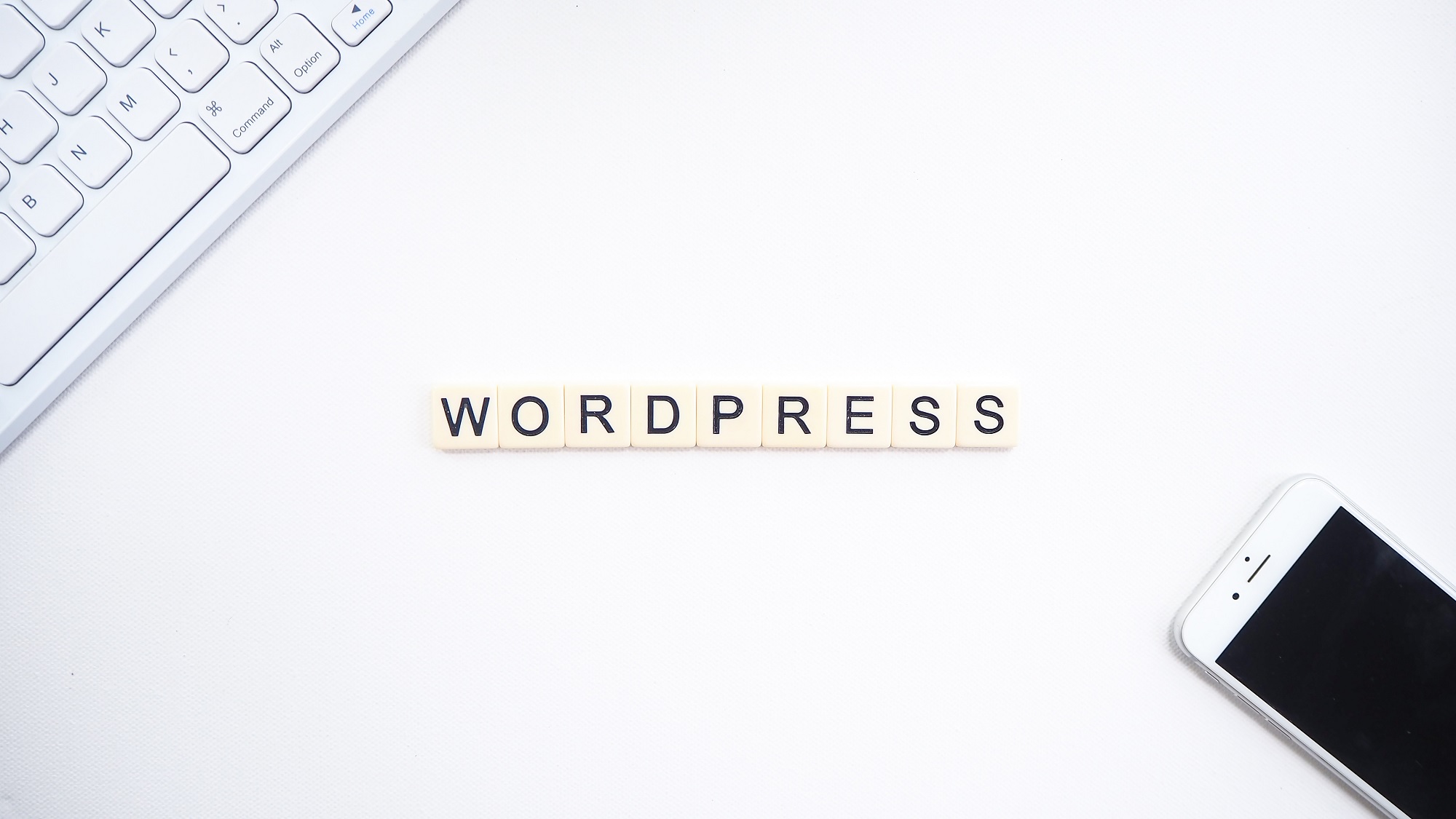 WordPress 64 WordPressorg China 简体中文
